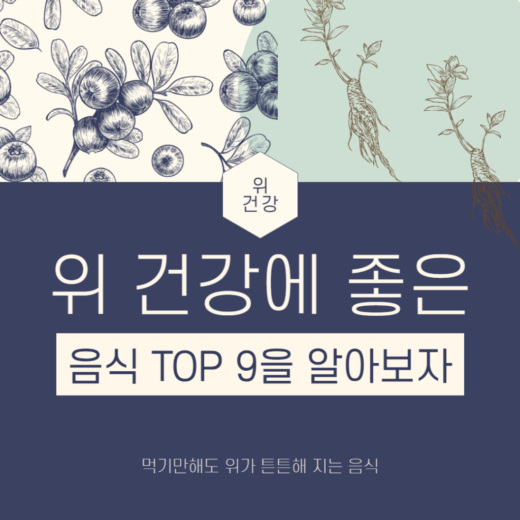 위 건강에 좋은 음식 TOP 9에 대해서 자세히 알아봅니다. 