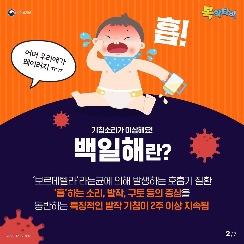 백일해 증상에 대한 이해를 위한 그림 설명