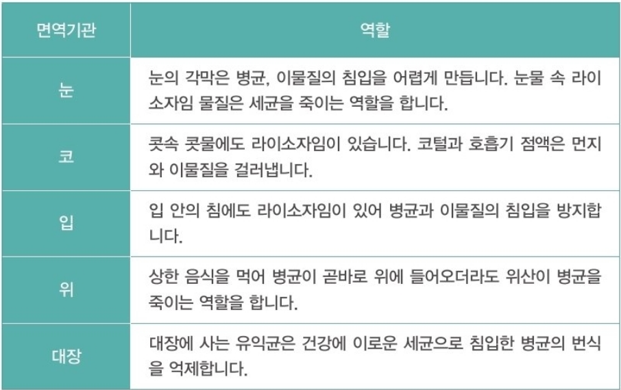 면역력과 면역 시스템 중 1차 방어 체계 표 설명