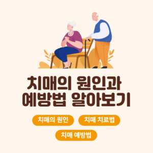 치매의 원인과 예방법 알아보기