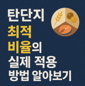 탄단지 최적 비율의 실제 적용 방법 알아보기