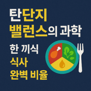 탄단지 밸런스의 과학: 한 끼 식사완벽 비율 알아보기